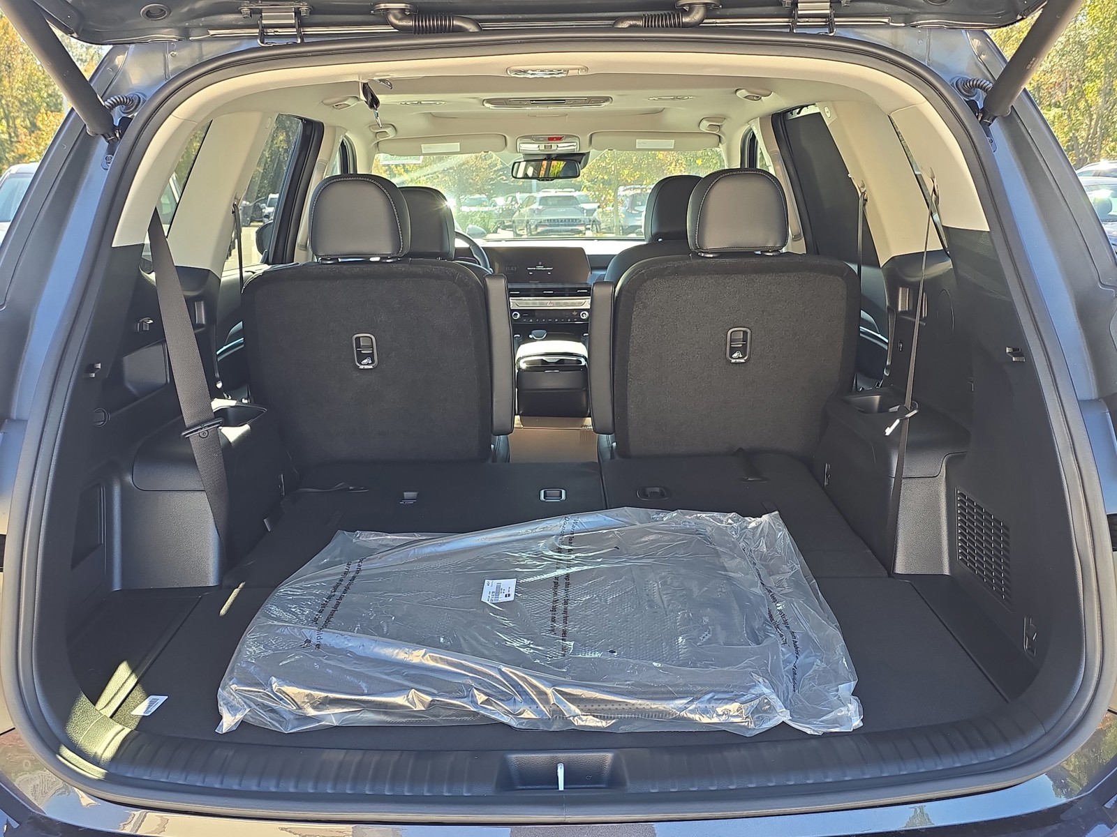 2025 Kia Telluride - Photo 12