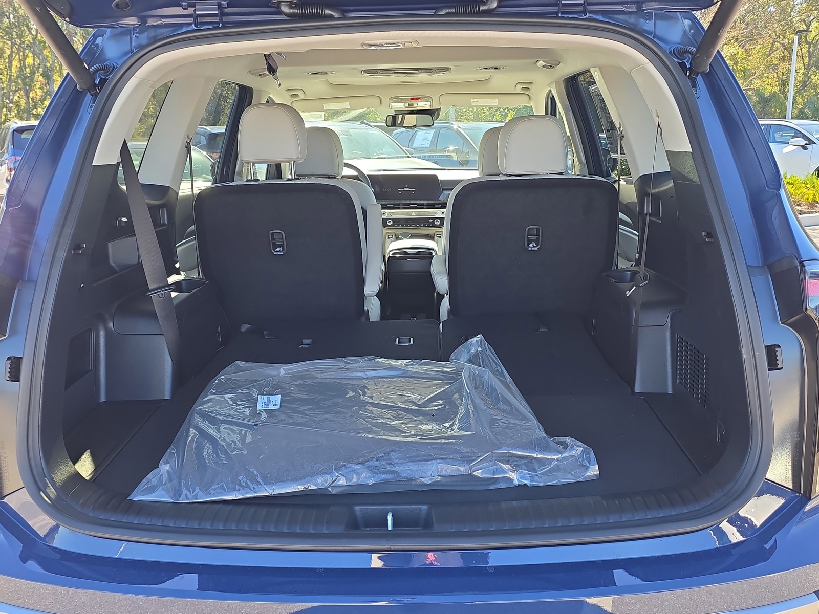 2025 Kia Telluride - Photo 12