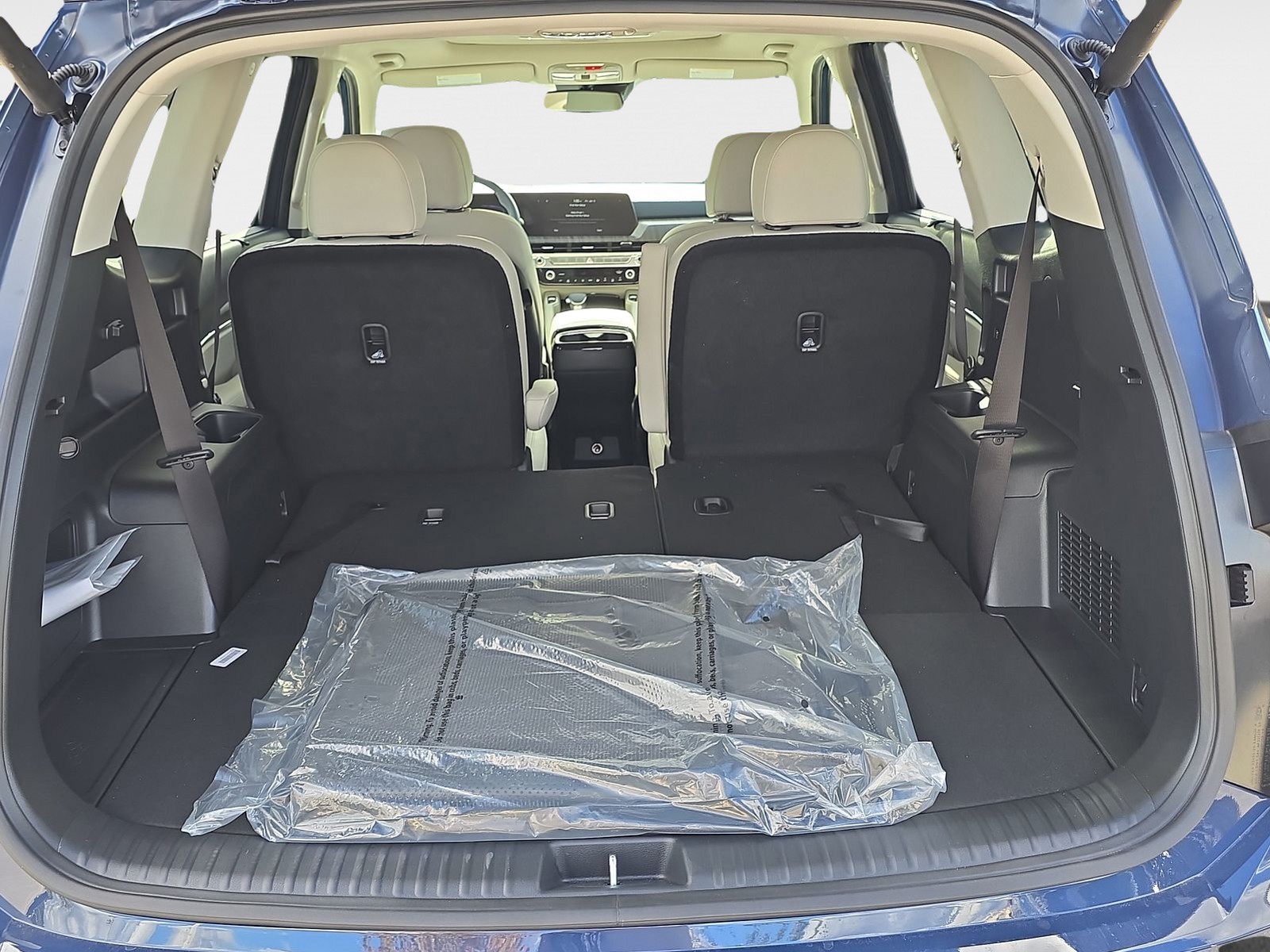 2025 Kia Telluride - Photo 10