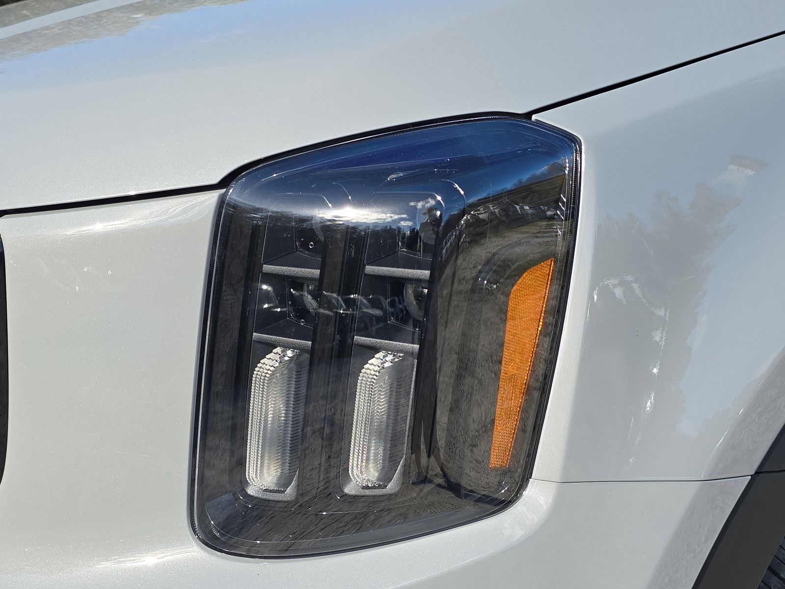 2025 Kia Telluride - Photo 10