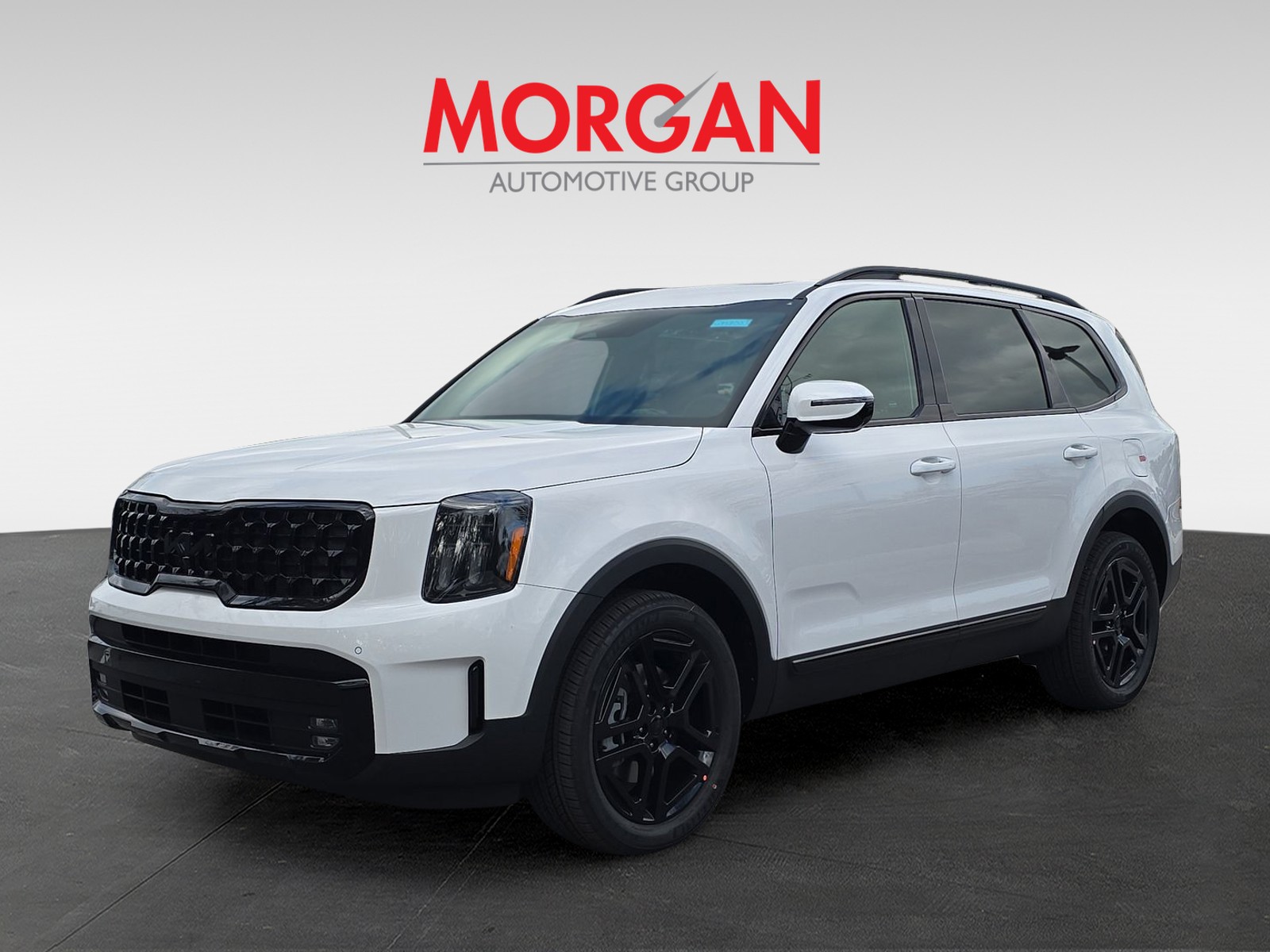 2025 Kia Telluride - Photo 3