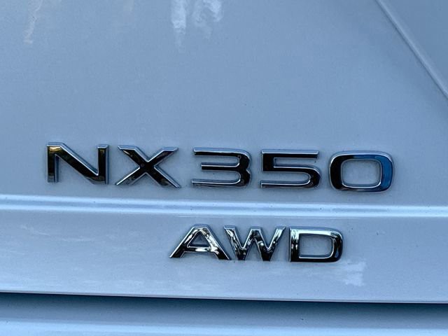 2024 Lexus NX - Photo 11