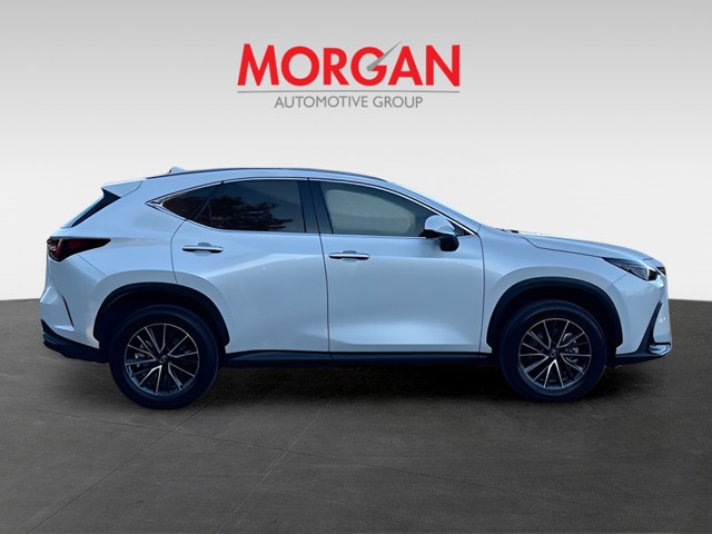 2024 Lexus NX - Photo 7