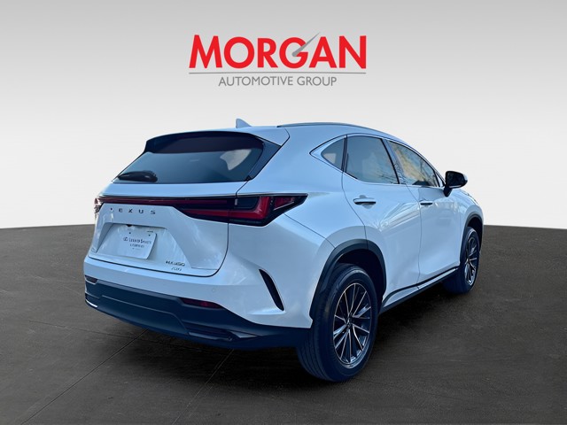 2024 Lexus NX - Photo 4