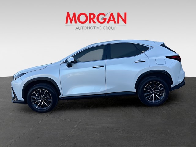 2024 Lexus NX - Photo 8