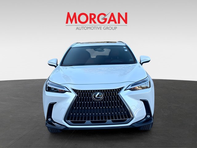 2024 Lexus NX - Photo 3
