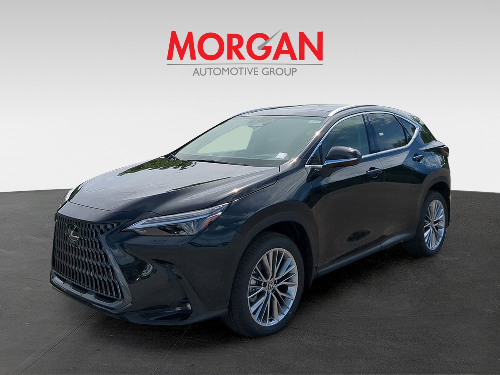 2026 Lexus NX - Photo 2