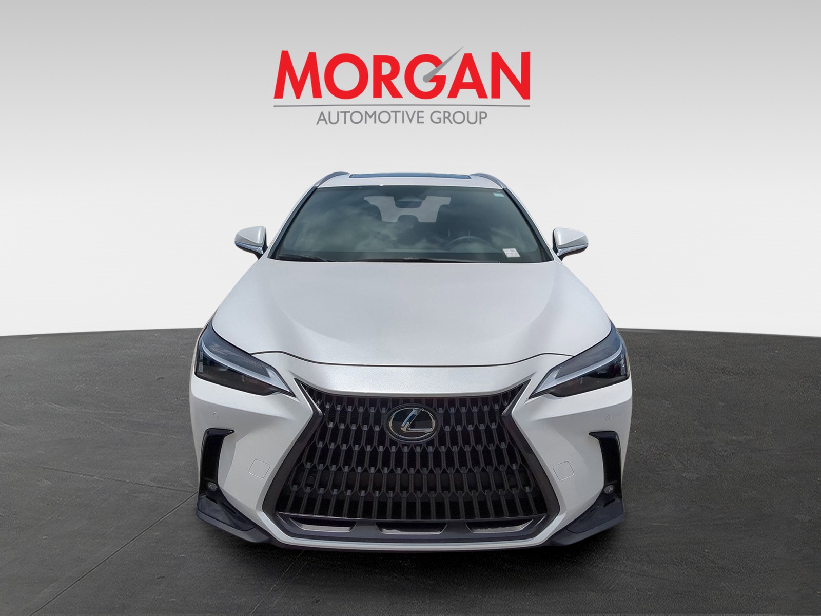 2025 Lexus NX - Photo 3