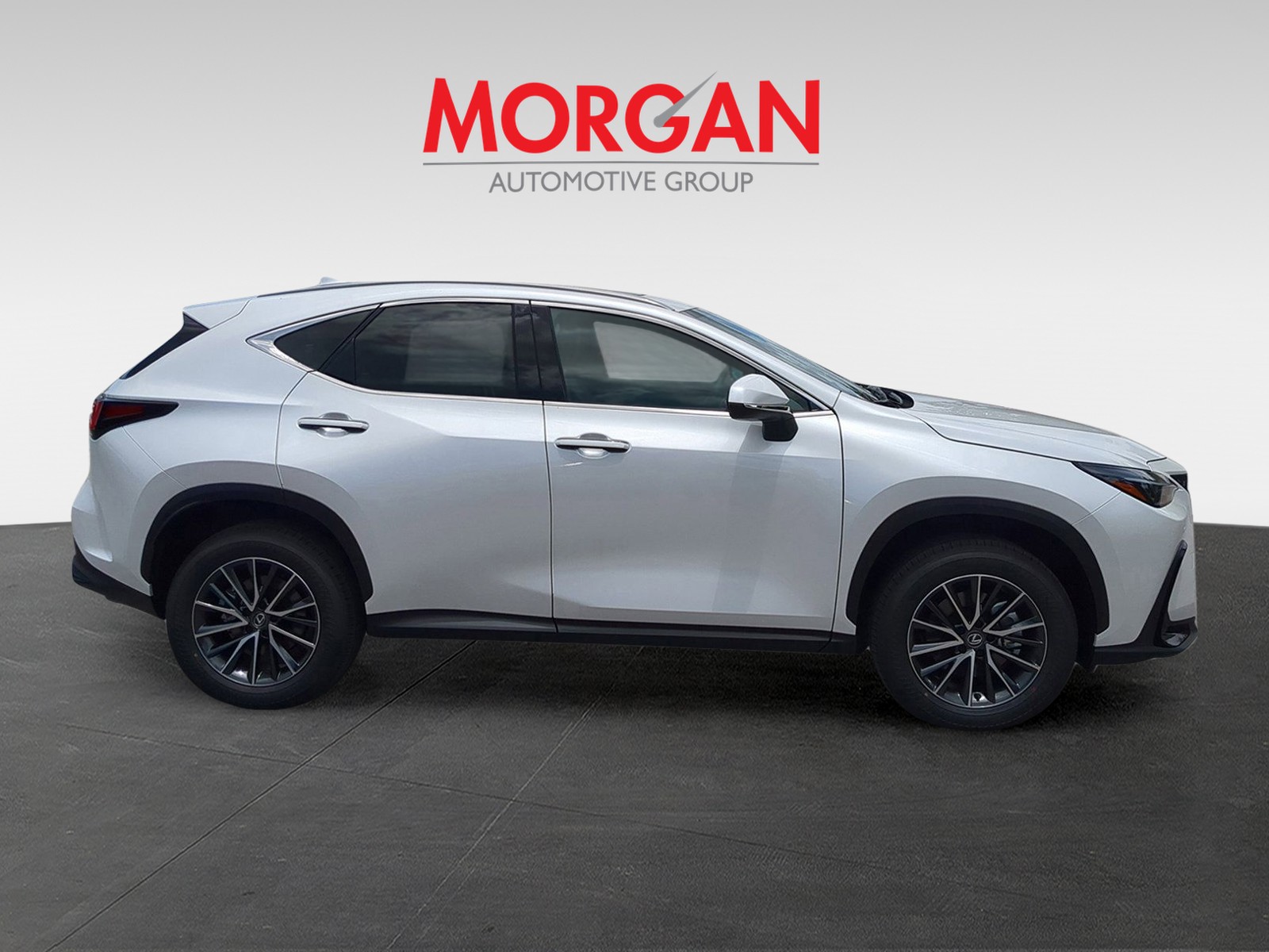 2025 Lexus NX - Photo 7