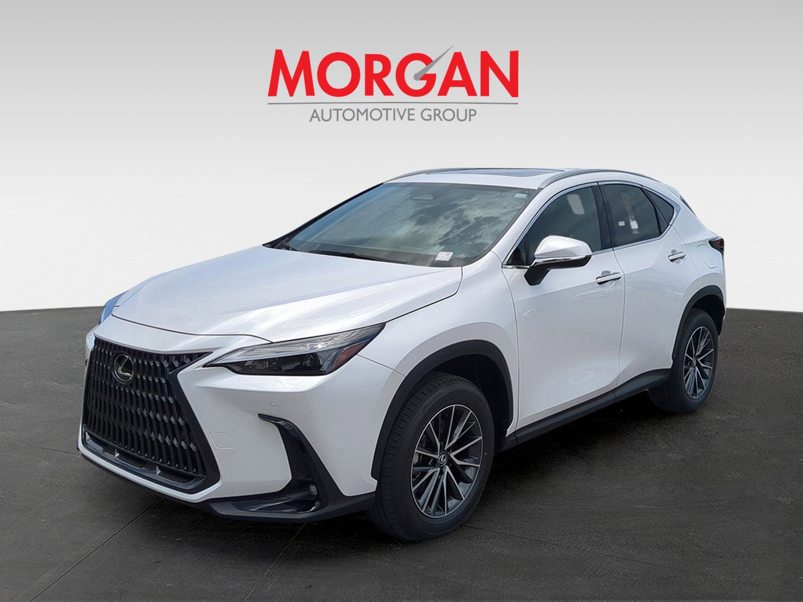 2025 Lexus NX - Photo 2