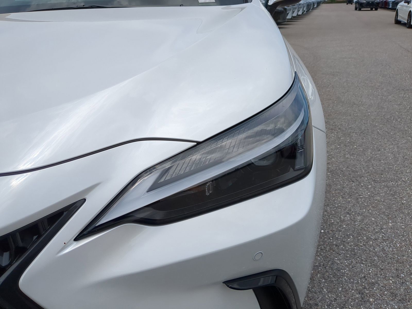 2025 Lexus NX - Photo 9