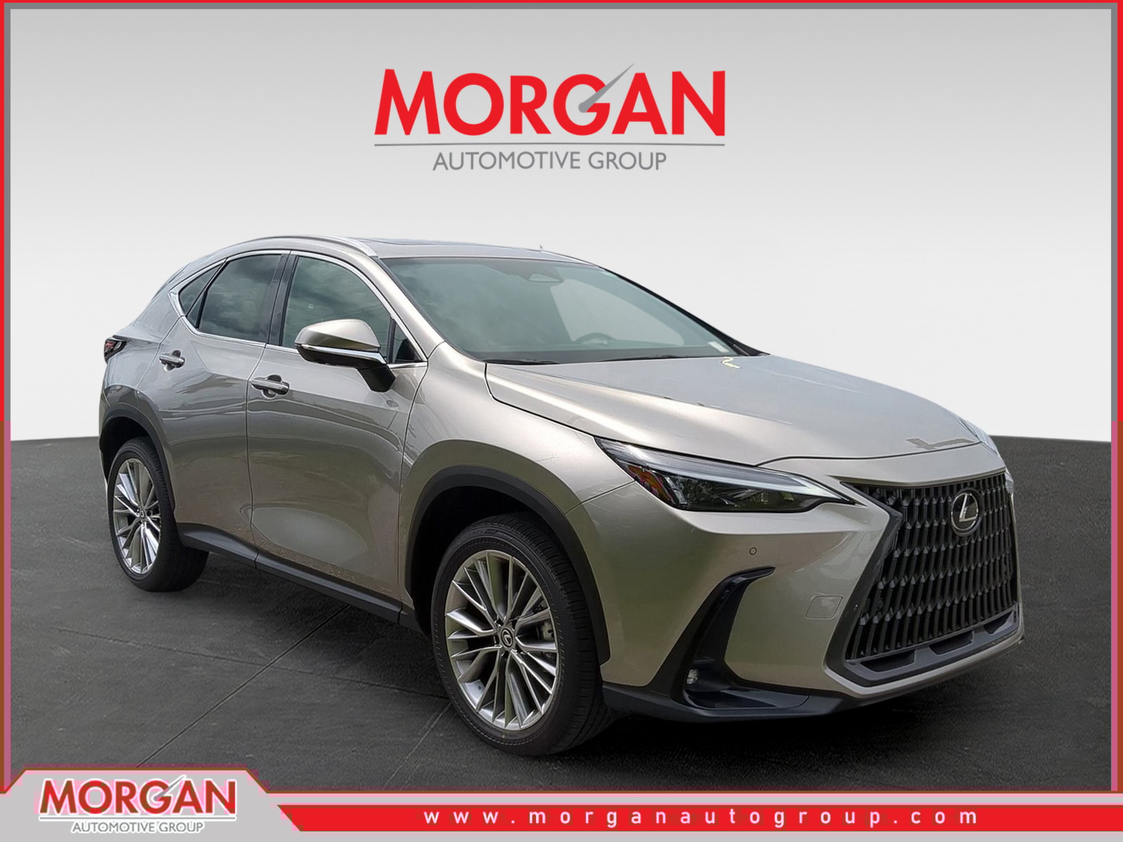 2025 Lexus NX 350's photo