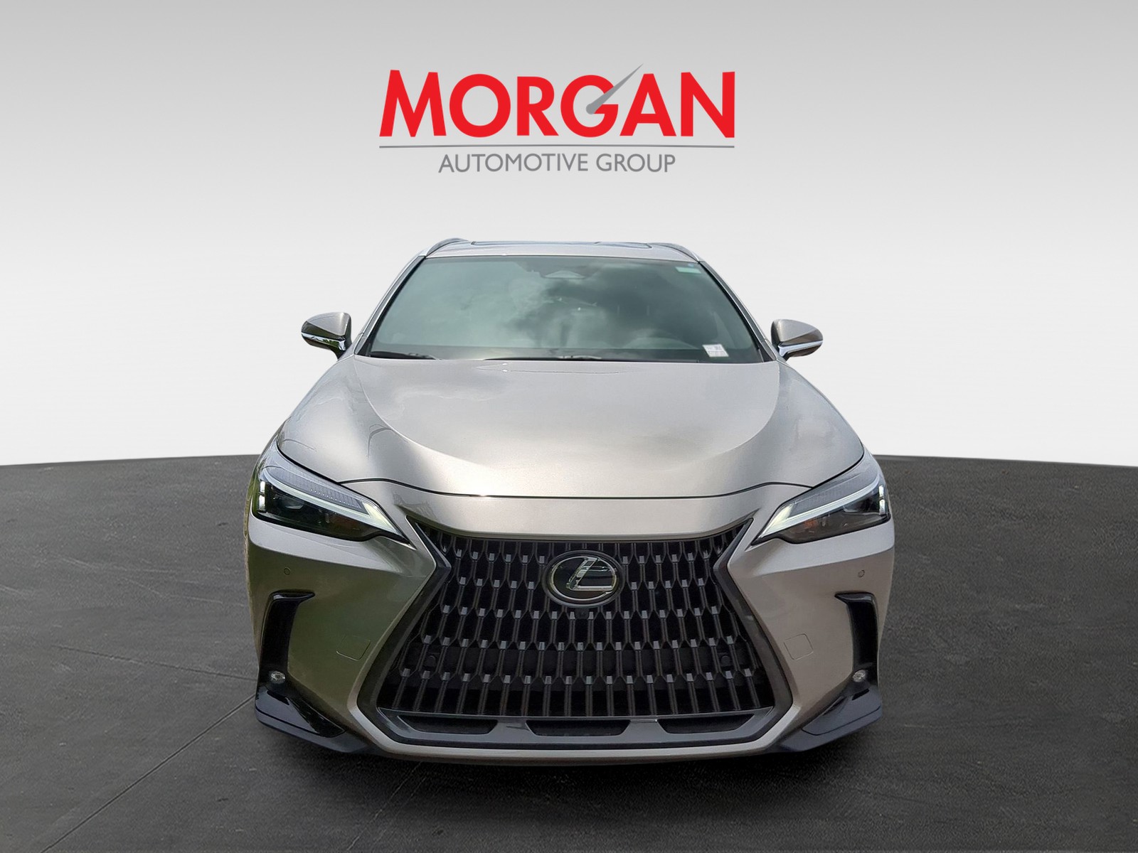 2025 Lexus NX - Photo 3