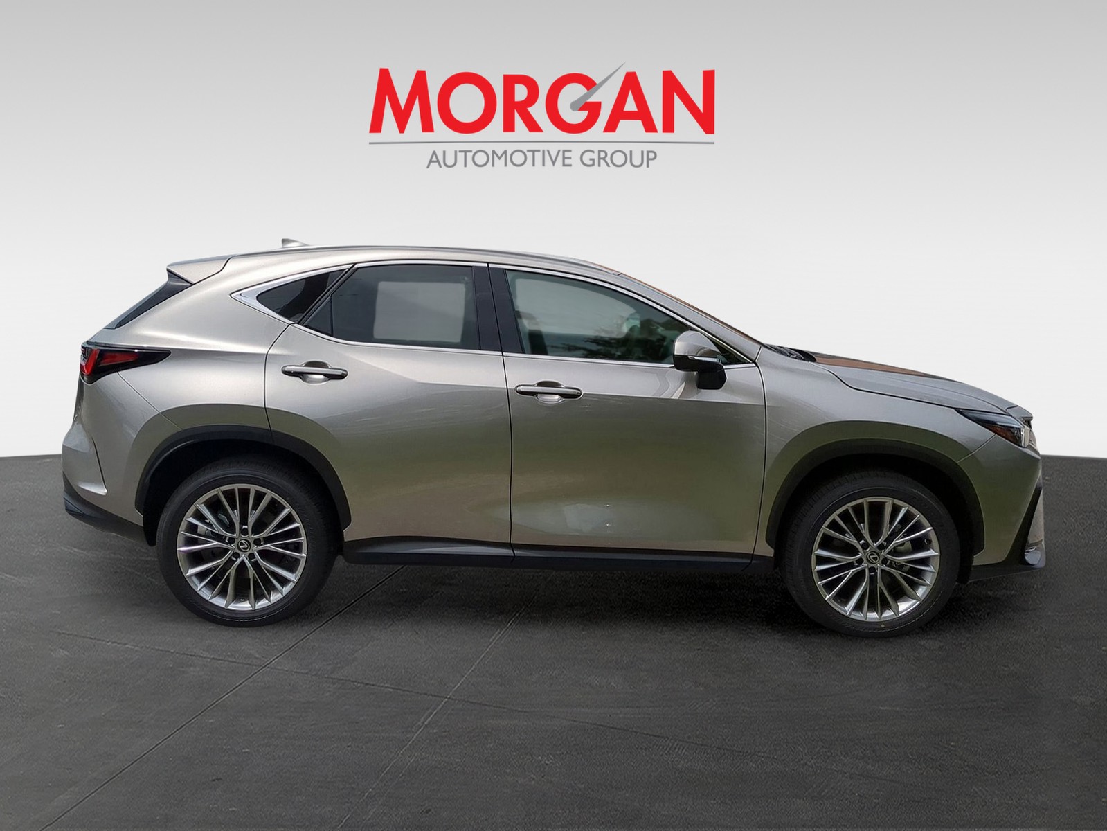 2025 Lexus NX - Photo 7