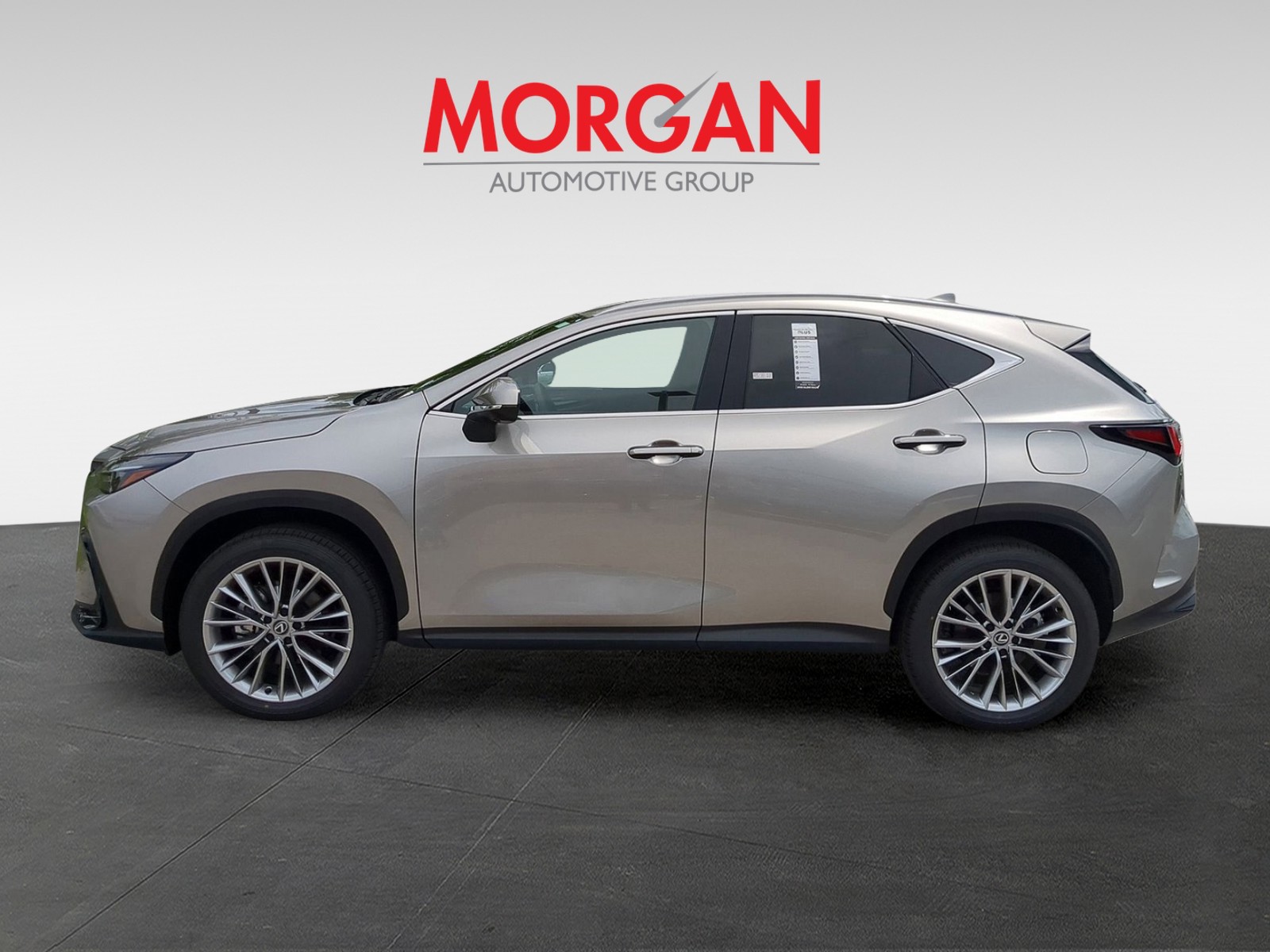 2025 Lexus NX - Photo 8