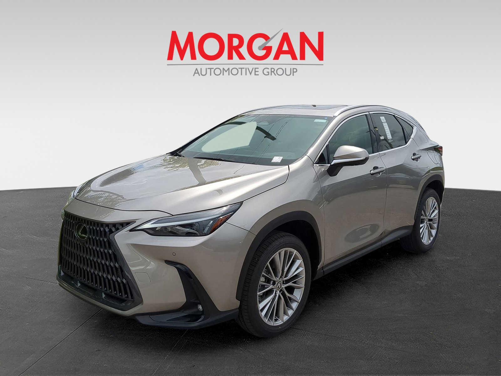 2025 Lexus NX - Photo 2