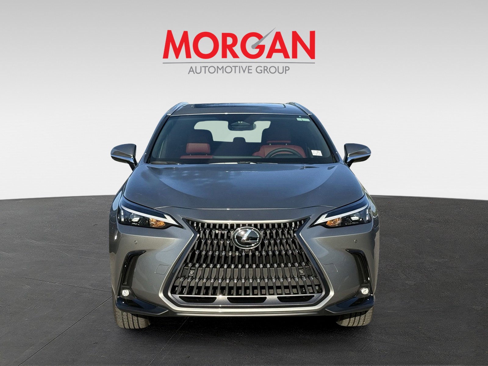 2025 Lexus NX - Photo 3