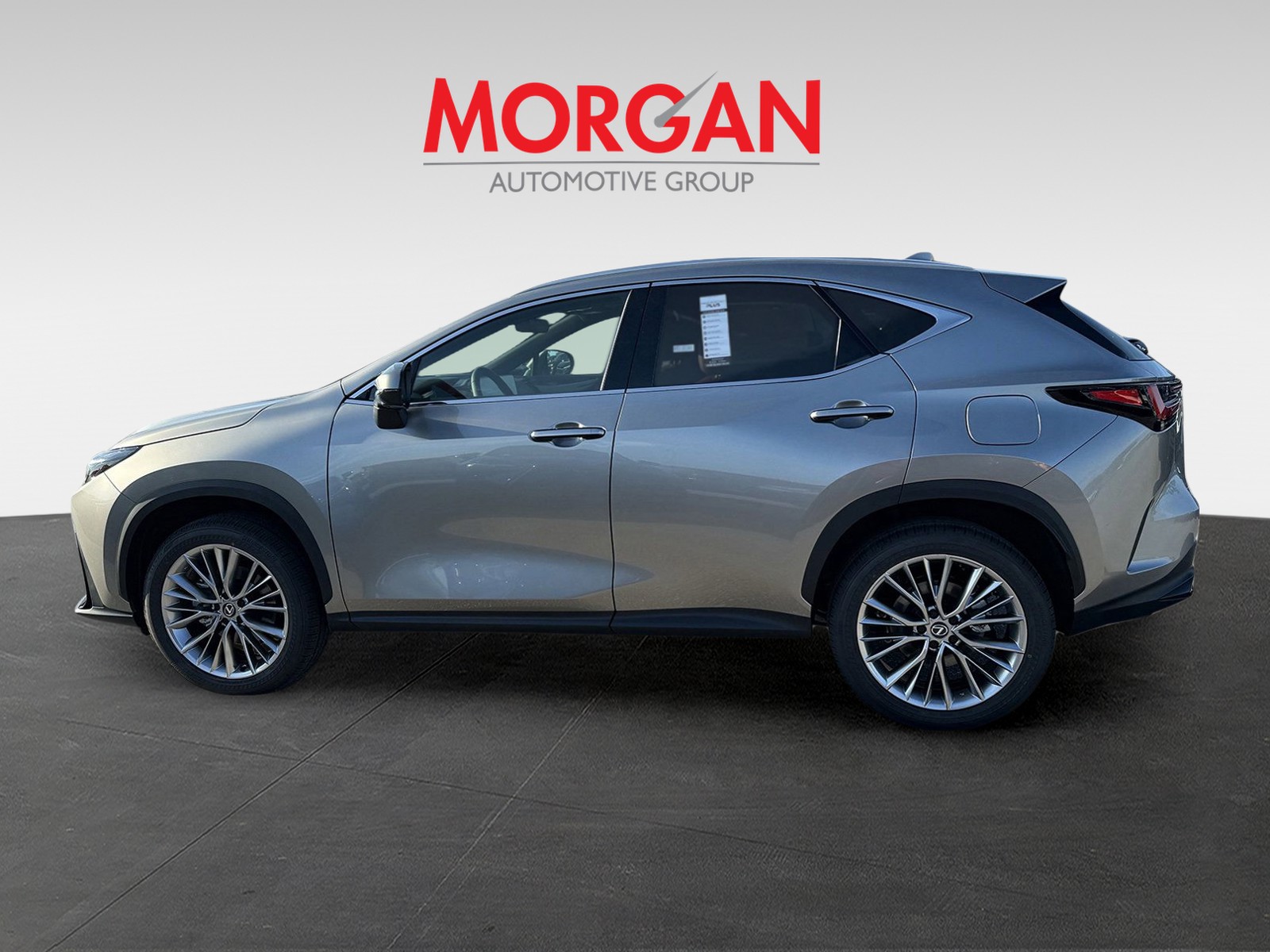 2025 Lexus NX - Photo 8