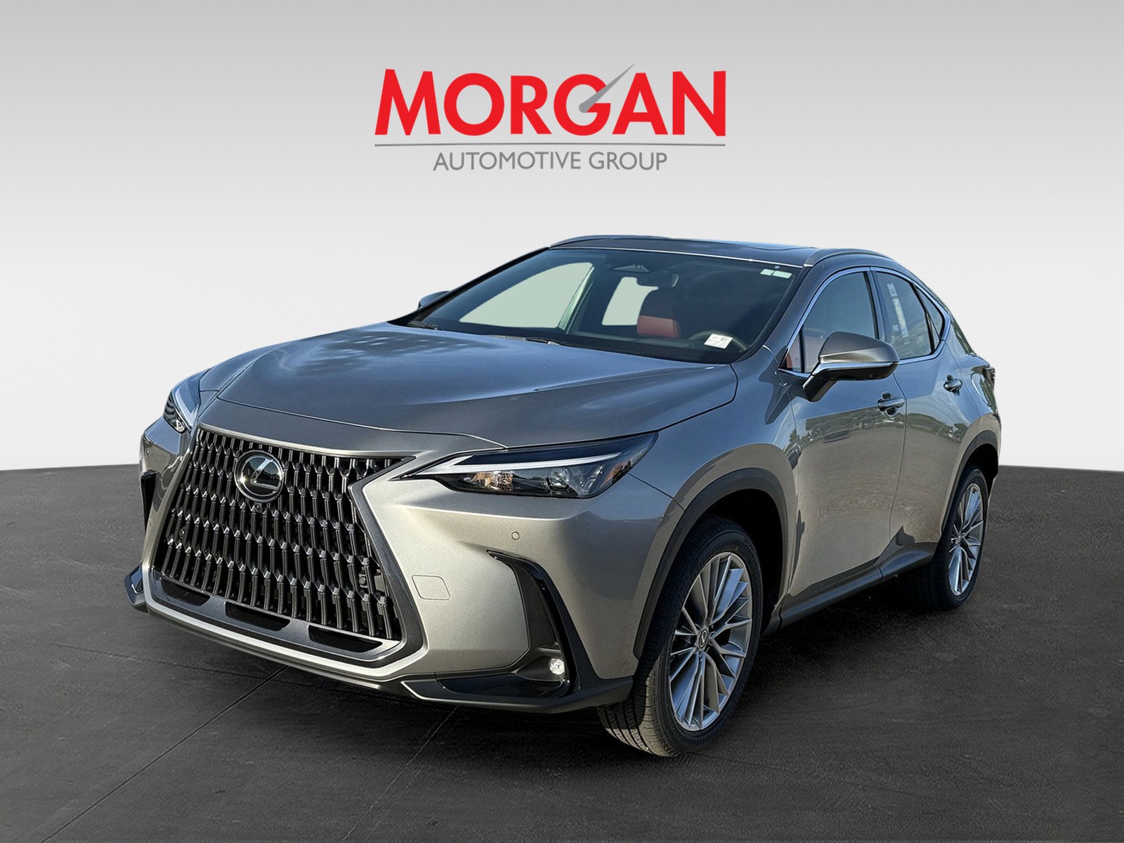 2025 Lexus NX - Photo 2