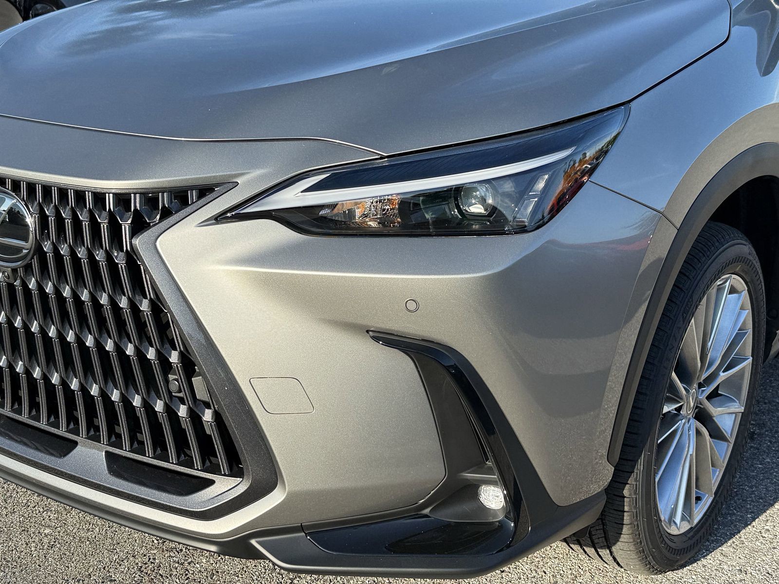 2025 Lexus NX - Photo 9