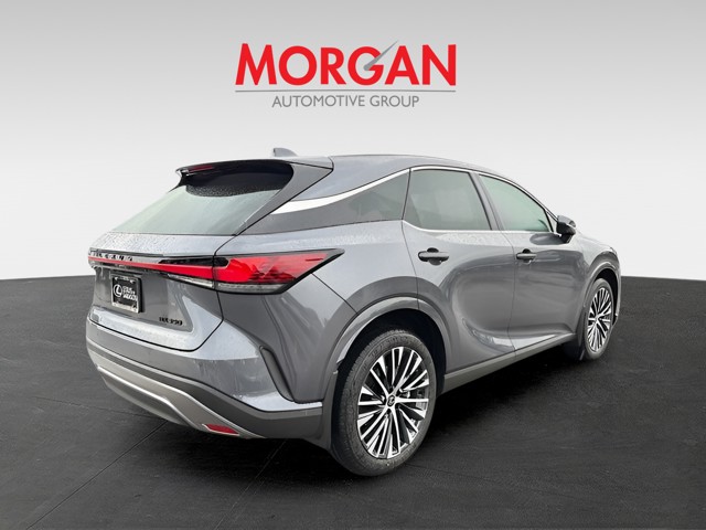 2026 Lexus RX - Photo 4