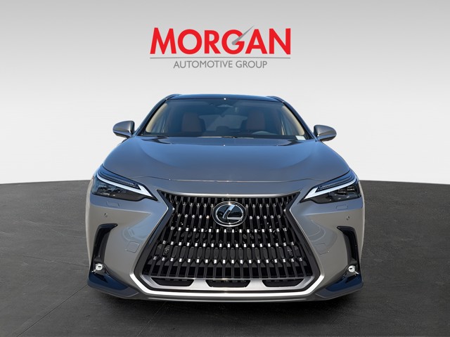 2026 Lexus NX - Photo 3