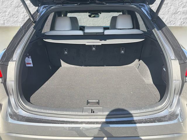 2026 Lexus RX - Photo 12