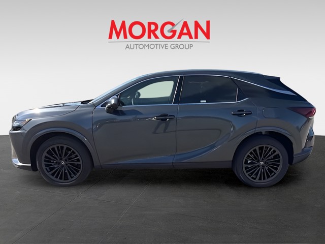 2026 Lexus RX - Photo 8