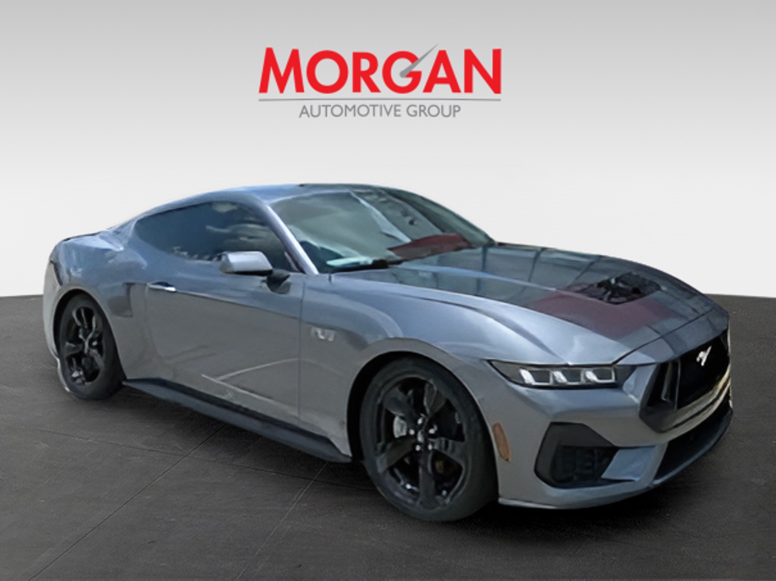 Used 2024 Ford Mustang GT with VIN 1FA6P8CF7R5407579 for sale in Tampa, FL