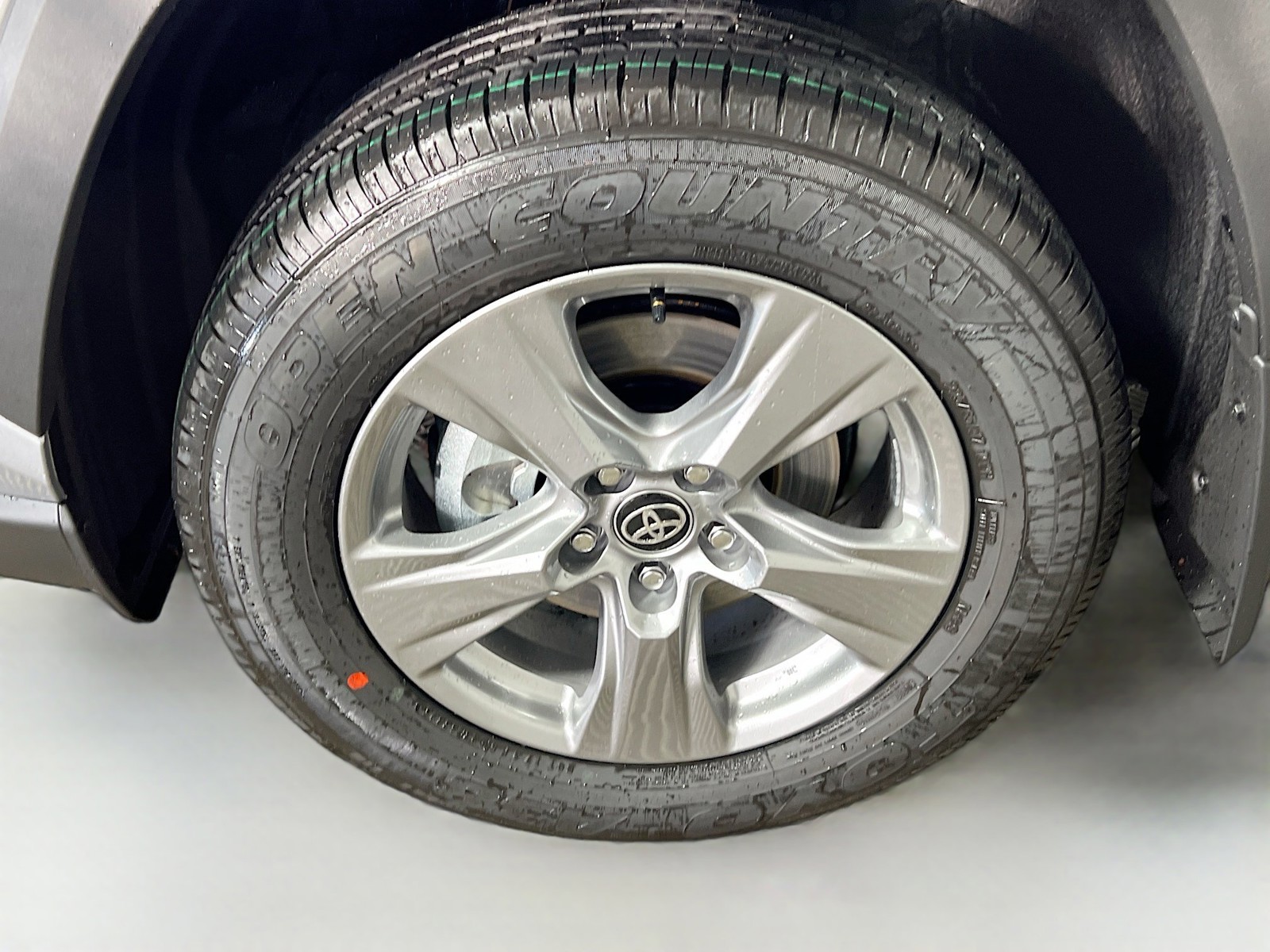 2025 Toyota RAV4 - Photo 11