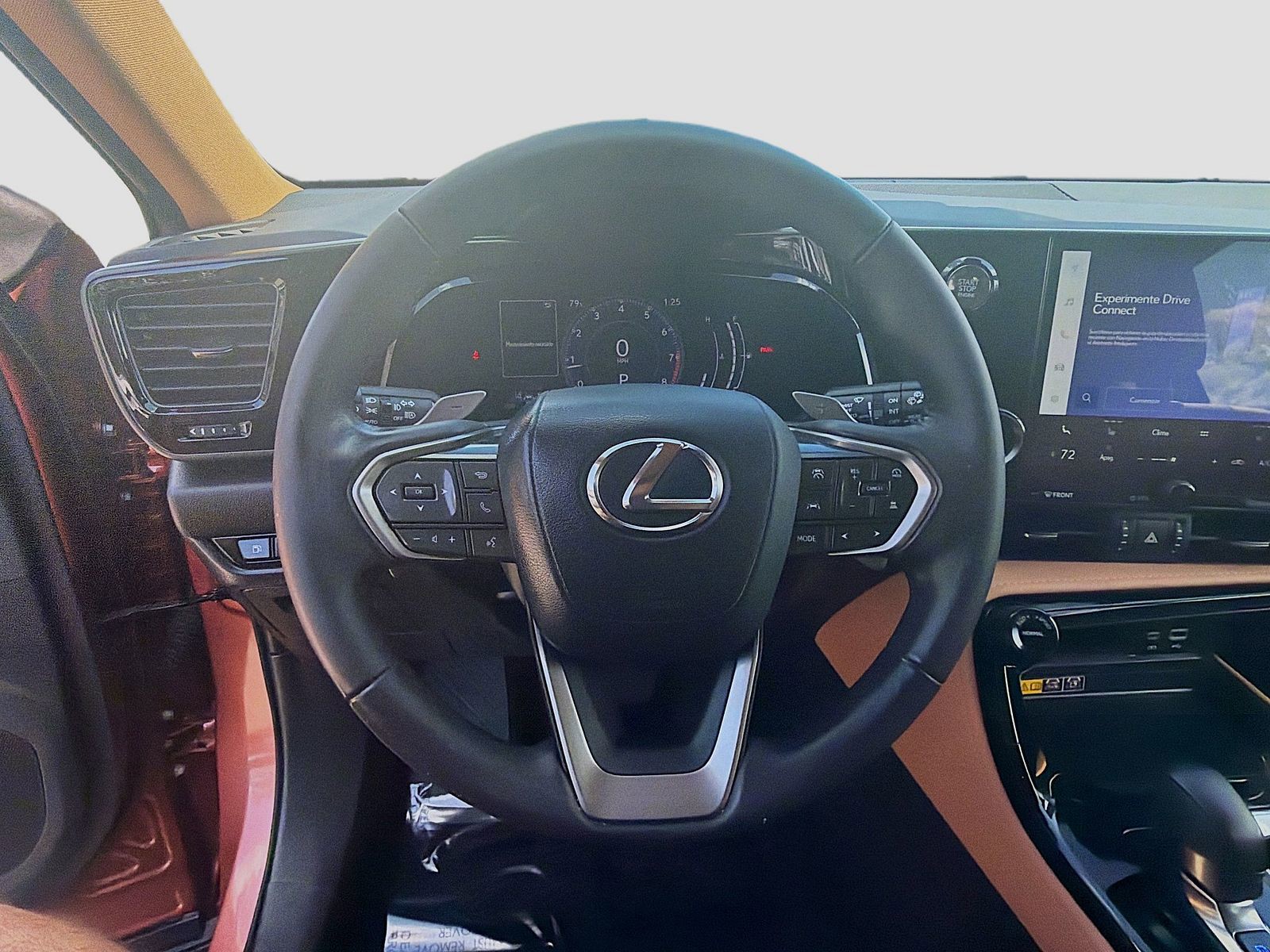 2025 Lexus NX - Photo 10