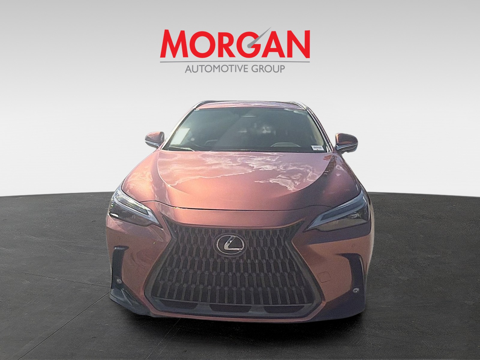 2025 Lexus NX - Photo 3