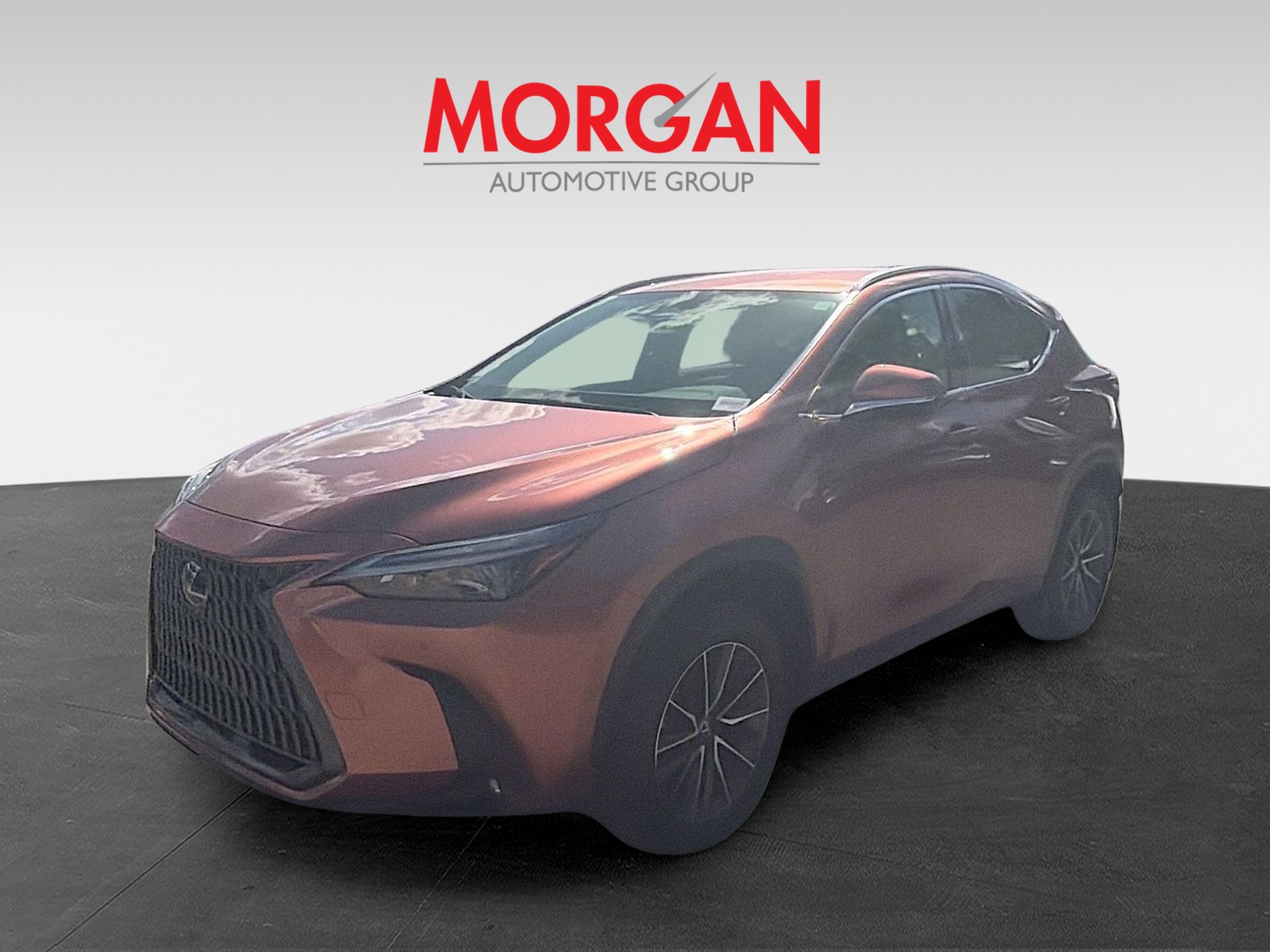 2025 Lexus NX - Photo 2