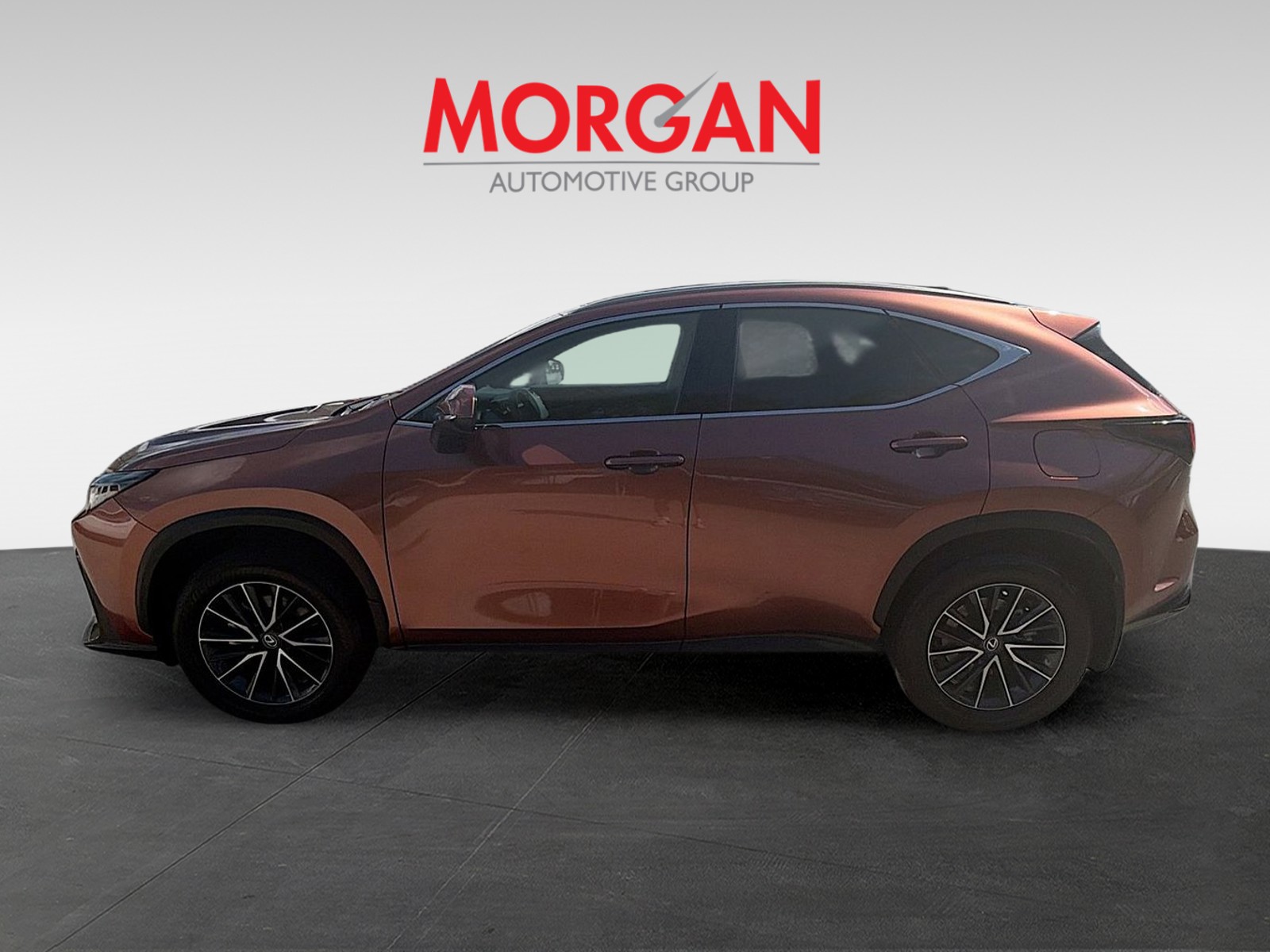 2025 Lexus NX - Photo 7
