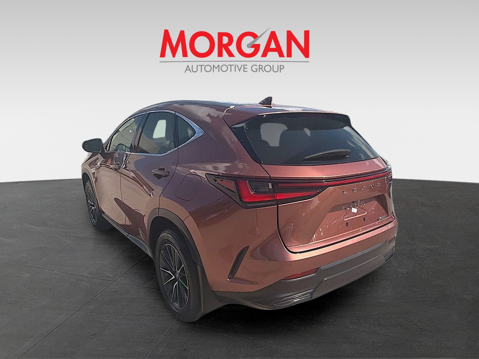 2025 Lexus NX - Photo 4
