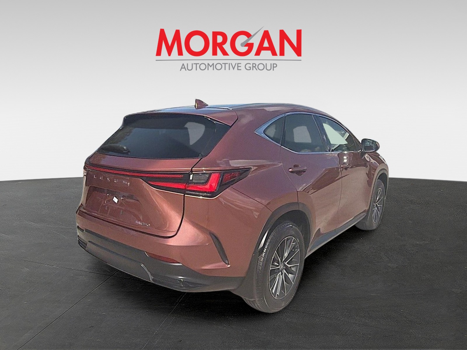 2025 Lexus NX - Photo 5