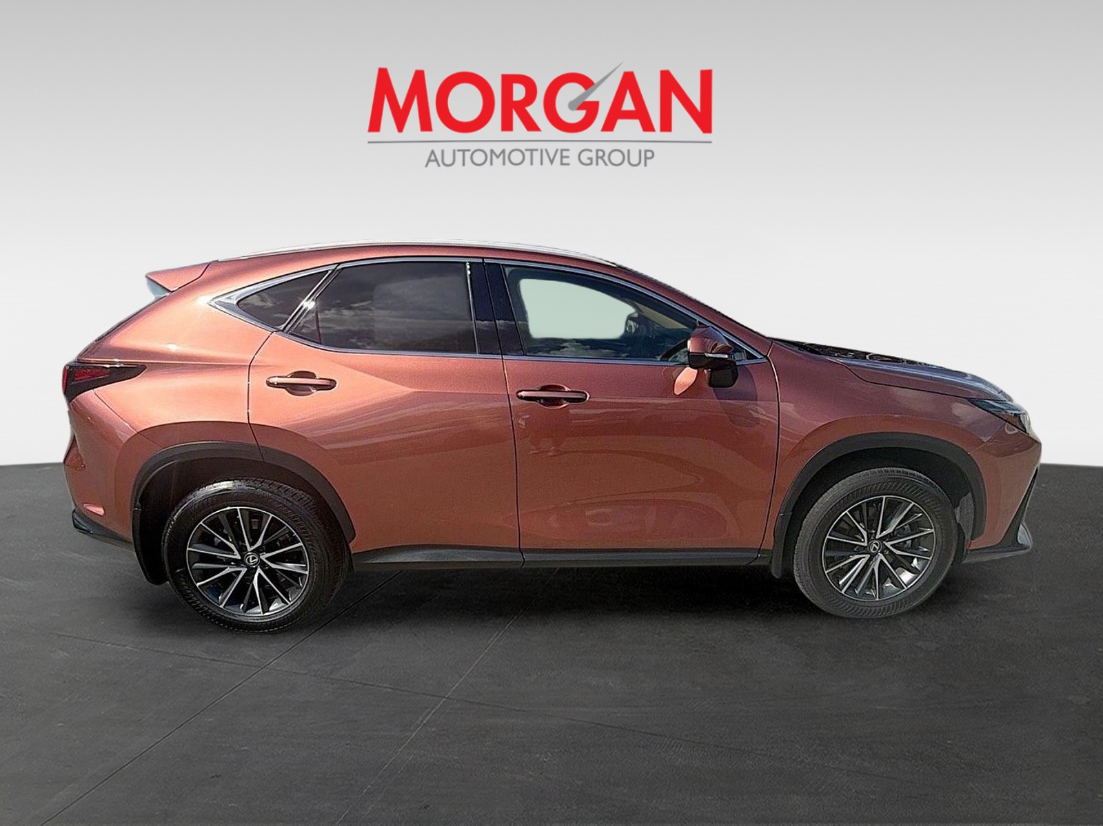 2025 Lexus NX - Photo 8