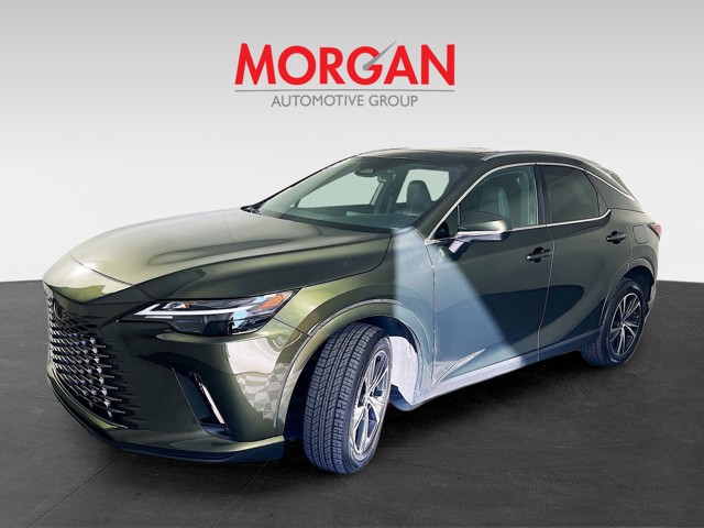 2023 Lexus RX - Photo 3